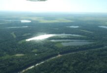 Amazonia: ¿cómo el cambio climático y la contaminación ponen en riesgo el sistema de agua dulce más grande del planeta? La Amazonía alberga el sistema de agua dulce más grande del planeta, pero el cambio climático, la deforestación y la contaminación incrementan la vulnerabilidad de sus ríos y ecosistemas, advierte un estudio de RAISG. Foto: Rocío Lloret.