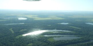 Amazonia: ¿cómo el cambio climático y la contaminación ponen en riesgo el sistema de agua dulce más grande del planeta? La Amazonía alberga el sistema de agua dulce más grande del planeta, pero el cambio climático, la deforestación y la contaminación incrementan la vulnerabilidad de sus ríos y ecosistemas, advierte un estudio de RAISG. Foto: Rocío Lloret.