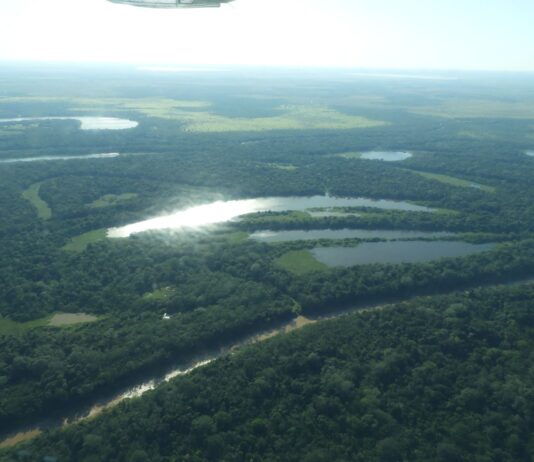 La Amazonía alberga el sistema de agua dulce más grande del planeta, pero el cambio climático, la deforestación y la contaminación incrementan la vulnerabilidad de sus ríos y ecosistemas, advierte un estudio de RAISG. Foto: Rocío Lloret.