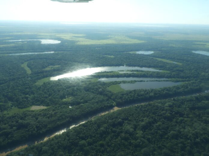 AMAZONIA BOLIVIA La Amazonía alberga el sistema de agua dulce más grande del planeta, pero el cambio climático, la deforestación y la contaminación incrementan la vulnerabilidad de sus ríos y ecosistemas, advierte un estudio de RAISG. Foto: Rocío Lloret.