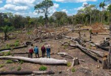 Los avasallamientos son una amenaza recurrente para los pueblos indígenas amazónicos. En la comunidad Los Ángeles del territorio Monte Verde, los indígenas chiquitanos se enfrentaron a los invasores y los desalojaron | Foto: Edy Yobanny Velasco