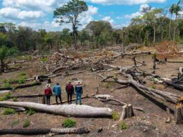 Los avasallamientos son una amenaza recurrente para los pueblos indígenas amazónicos. En la comunidad Los Ángeles del territorio Monte Verde, los indígenas chiquitanos se enfrentaron a los invasores y los desalojaron | Foto: Edy Yobanny Velasco
