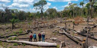 Los avasallamientos son una amenaza recurrente para los pueblos indígenas amazónicos. En la comunidad Los Ángeles del territorio Monte Verde, los indígenas chiquitanos se enfrentaron a los invasores y los desalojaron | Foto: Edy Yobanny Velasco