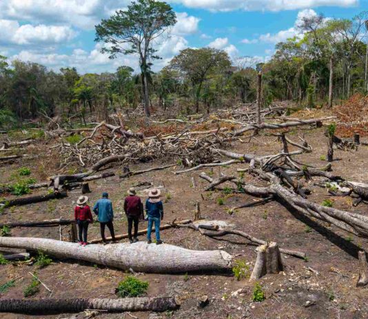 Los avasallamientos son una amenaza recurrente para los pueblos indígenas amazónicos. En la comunidad Los Ángeles del territorio Monte Verde, los indígenas chiquitanos se enfrentaron a los invasores y los desalojaron | Foto: Edy Yobanny Velasco
