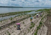 Día Mundial de Acción contra la Desertificación y la Sequía: una crisis silenciosa avanza desde Centroamérica hasta la Amazonía y el Chaco sudamericano Una sección del río Amazonas, en Santa Sofía, en las afueras de Leticia, Colombia, el 20 de octubre del 2024. Foto: AP/Iván Valencia