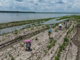 Una sección del río Amazonas, en Santa Sofía, en las afueras de Leticia, Colombia, el 20 de octubre del 2024. Foto: AP/Iván Valencia
