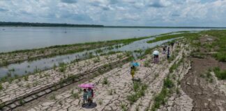 Una sección del río Amazonas, en Santa Sofía, en las afueras de Leticia, Colombia, el 20 de octubre del 2024. Foto: AP/Iván Valencia