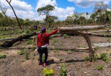Isabel Surubí es la vicepresidente de la comunidad Los Ángeles, que en 2025 registró un avasallamiento de tierras y tala de sus bosques | Foto: Edy Yobany Velasco Alanes.