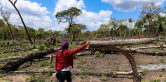 Isabel Surubí es la vicepresidente de la comunidad Los Ángeles, que en 2025 registró un avasallamiento de tierras y tala de sus bosques | Foto: Edy Yobany Velasco Alanes.