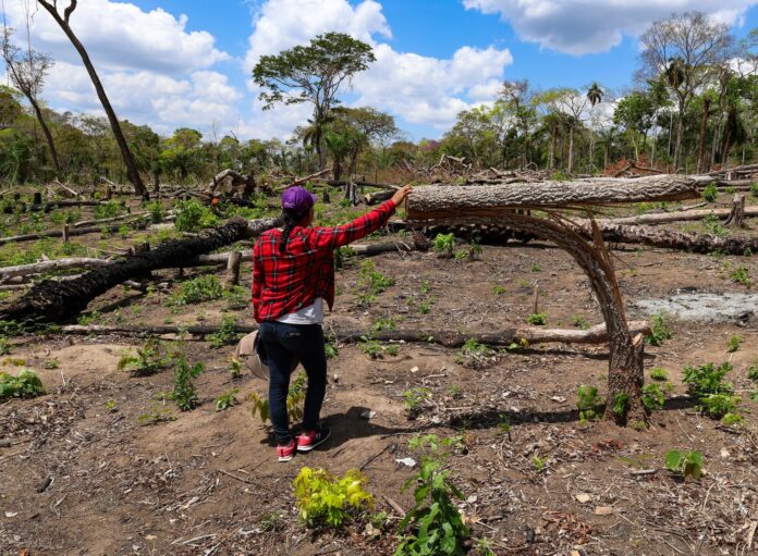 Isabel Surubí es la vicepresidente de la comunidad Los Ángeles, que en 2025 registró un avasallamiento de tierras y tala de sus bosques | Foto: Edy Yobany Velasco Alanes.