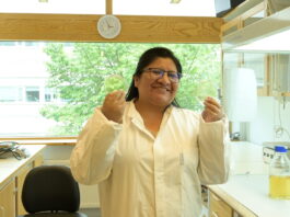 Tras vencer retos de idioma, cultura y duelos, Mamani cursa un doctorado en Suecia y busca identificar la mayor colección de hongos Trichoderma de América Latina. Foto: cortesía Marisel Mamani