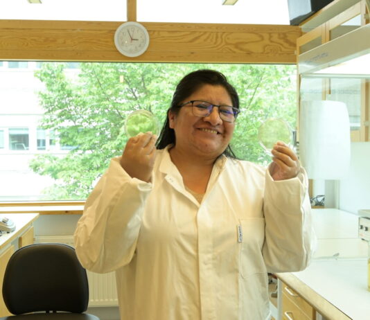 Tras vencer retos de idioma, cultura y duelos, Mamani cursa un doctorado en Suecia y busca identificar la mayor colección de hongos Trichoderma de América Latina. Foto: cortesía Marisel Mamani