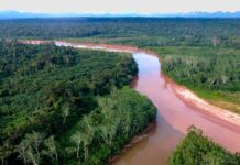 Una región de la Reserva de la Biosfera Pilón Lajas donde existen reservas forestales. Foto: WCS.
