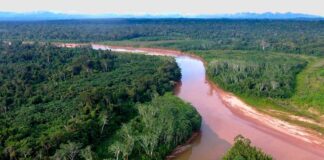 Una región de la Reserva de la Biosfera Pilón Lajas donde existen reservas forestales. Foto: WCS.