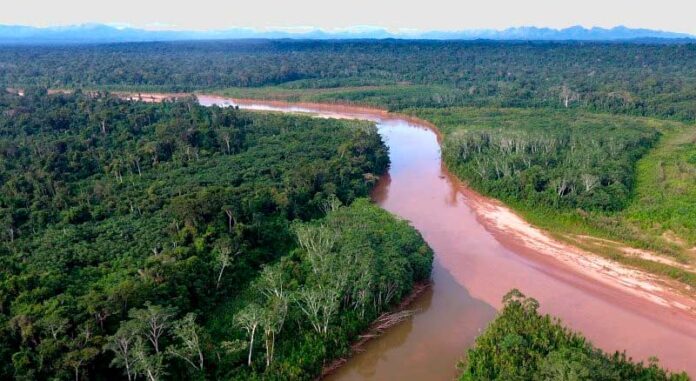 Una región de la Reserva de la Biosfera Pilón Lajas donde existen reservas forestales. Foto: WCS.