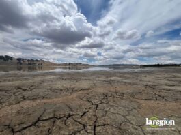 Esta laguna situada en cercanías de Pocona, Cochabamba, lucía así en diciembre de 2024. Gente del lugar explicó que en 40 años no había visto algo similar. Foto: Rocío Lloret