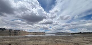 Esta laguna situada en cercanías de Pocona, Cochabamba, lucía así en diciembre de 2024. Gente del lugar explicó que en 40 años no había visto algo similar. Foto: Rocío Lloret