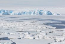 El último territorio sin dueño: la Antártida ante la ventana de 2048