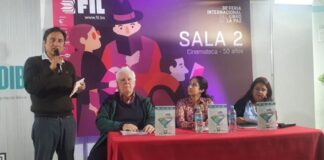 Litio boliviano: las preguntas detrás de la “minería del agua” sobre la cual se ciernen presiones globales