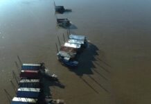 Suman denuncias por uso de mercurio y exigen urgente protección al río Madre de Dios