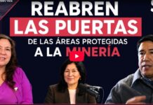 Minería en Bolivia: qué está en riesgo al reabrir áreas protegidas para la explotación minera