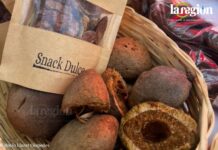Cómo la almendra chiquitana puede ayudar a salvar el bosque Almendra chiquitana, un fruto del bosque que abre nuevas oportunidades para las comunidades de la Chiquitania. Foto: Rocío Lloret Céspedes