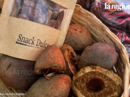Almendra chiquitana, un fruto del bosque que abre nuevas oportunidades para las comunidades de la Chiquitania. Foto: Rocío Lloret Céspedes