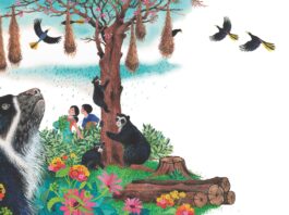 Los libros combinan historias, personajes e ilustraciones para acercar a los niños al conocimiento y cuidado de la naturaleza. Foto: FAN