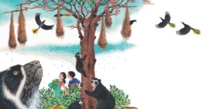 Guardianes de los Bosques: tres cuentos para acercar a los niños a la biodiversidad de Bolivia Los libros combinan historias, personajes e ilustraciones para acercar a los niños al conocimiento y cuidado de la naturaleza. Foto: FAN