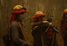 Bomberos forestales voluntarios: cómo aportar Bs 200 para financiar un seguro Protección para quienes nos protegen. La campaña «Juntos por Nuestros Héroes Forestales» busca garantizar el seguro anual de los bomberos forestales en primera línea.