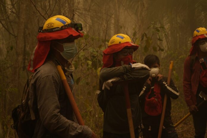 Protección para quienes nos protegen. La campaña «Juntos por Nuestros Héroes Forestales» busca garantizar el seguro anual de los bomberos forestales en primera línea.