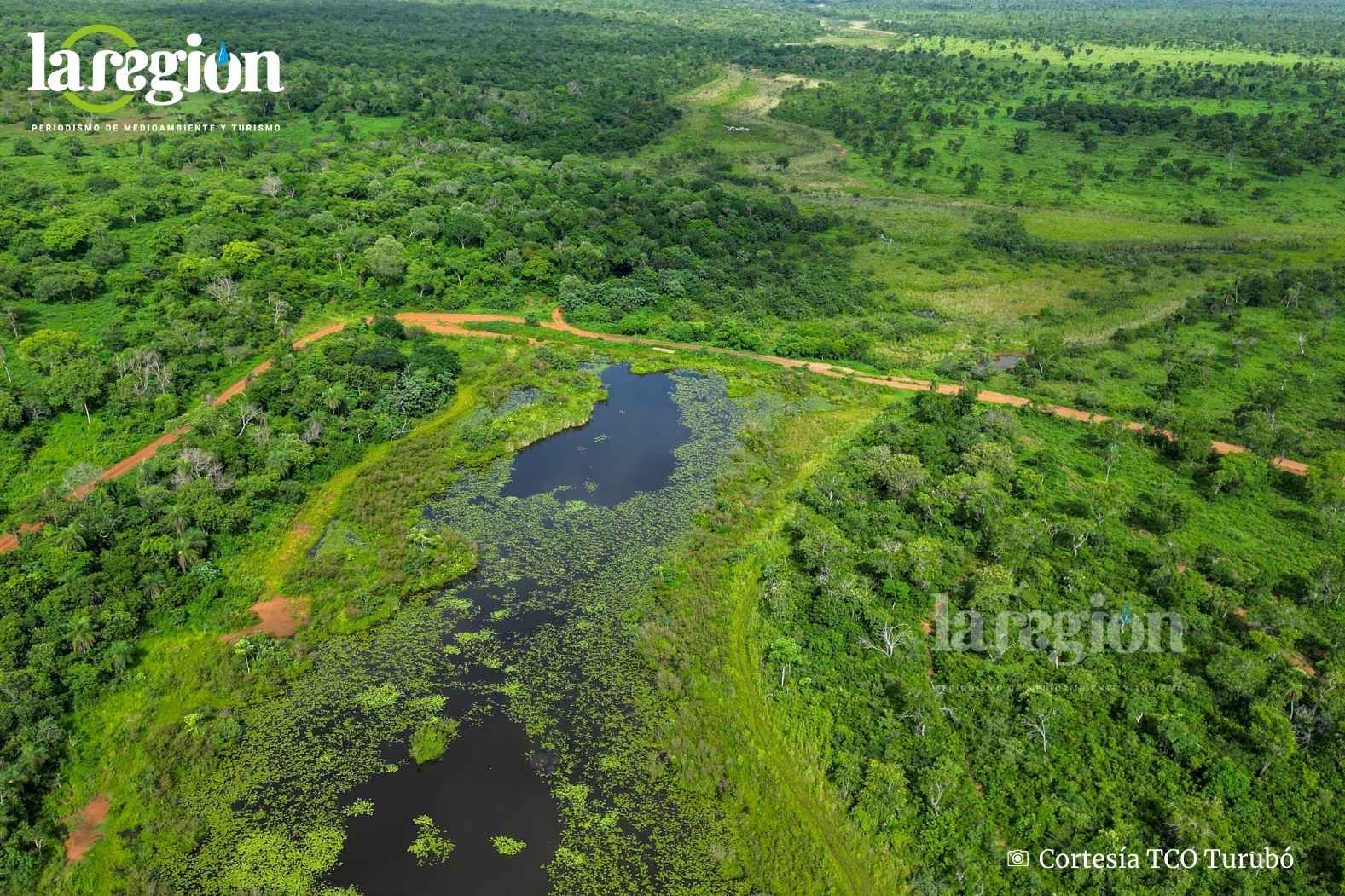 Caso río San Lorenzo: Tribunal Agroambiental suspende plazos y frena demolición de represas ilegales