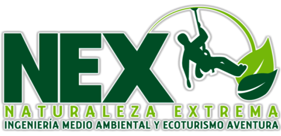 NEX