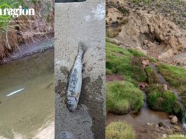 La contaminación del río y los efectos de la actividad minera ilegal fueron registrados por pobladores del ayllu Cala Cala. Foto: Comunidad Cala Cala.