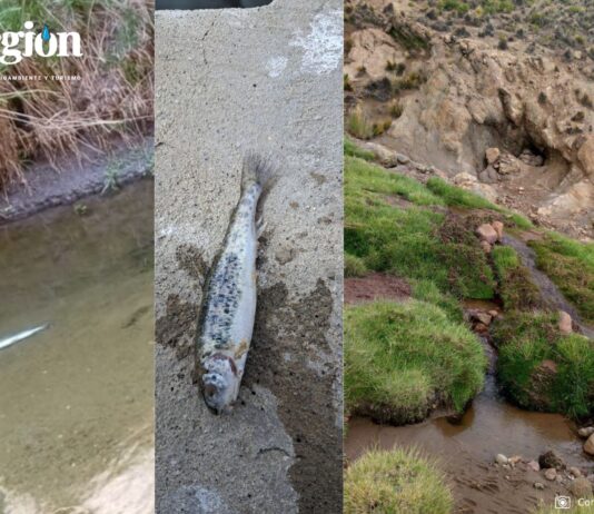 La contaminación del río y los efectos de la actividad minera ilegal fueron registrados por pobladores del ayllu Cala Cala. Foto: Comunidad Cala Cala.