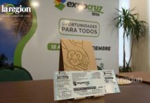Para obtener la Eco Entrada, puedes llevar cartón corrugado limpio y seco, botellas PET aptas para recuperación o latas vacías.