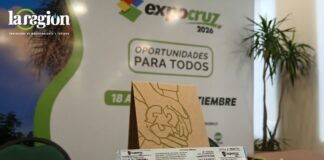 Para obtener la Eco Entrada, puedes llevar cartón corrugado limpio y seco, botellas PET aptas para recuperación o latas vacías.