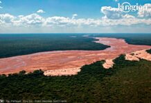 Tucabaca y Kaa-Iya: los modelos de Bolivia para atraer recursos a la conservación Río Parapetí, en el Kaa Iya del Gran Chaco. Foto: Hermes Justiniano.