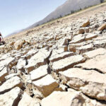 Hay zonas donde la sequedad llegó al extremo y afectó la producción de cultivos y ganado. Foto: cortesía El Deber