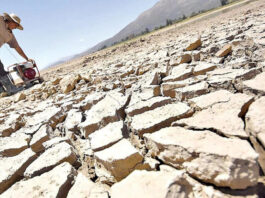 Hay zonas donde la sequedad llegó al extremo y afectó la producción de cultivos y ganado. Foto: cortesía El Deber