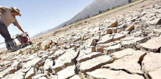 Hay zonas donde la sequedad llegó al extremo y afectó la producción de cultivos y ganado. Foto: cortesía El Deber