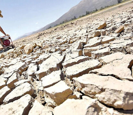 Hay zonas donde la sequedad llegó al extremo y afectó la producción de cultivos y ganado. Foto: cortesía El Deber