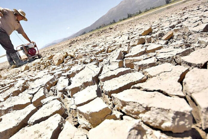 sequia bolivia cambio climático Hay zonas donde la sequedad llegó al extremo y afectó la producción de cultivos y ganado. Foto: cortesía El Deber