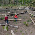 En la comunidad Los Ángeles, en el territorio indígena Monte Verde, los comunarios encontraron a los avasalladores cuando ya habían talado cerca de seis hectáreas de bosque. Foto: Edy Yobany Velasco/Amazonía Traficada