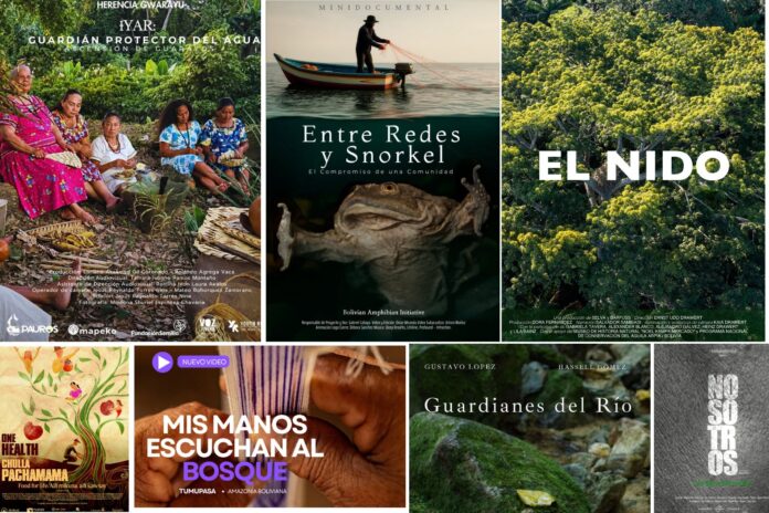 FESTIVAL INTERNACIONAL DE CINE VERDE