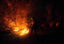 Incendios forestales: financiar la prevención antes que el bosque arda Bomberos combatiendo el fuego durante la temporada de incendios. El paso hacia un manejo integral del fuego exige destinar recursos no solo a la emergencia, sino al monitoreo y la prevención. Foto: Claudia Belaunde