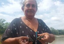 Una sola mujer liberó a más de 130 mil petas en los ríos de la Amazonía boliviana Magda Kerdi, conocida como Doña Turca, ha contribuido a liberar más de 130.940 petas de río en la Amazonía boliviana desde 2010.