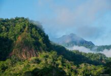 San Buenaventura se declara territorio libre de minería en el norte de La Paz Serranías y cobertura boscosa del municipio de San Buenaventura, en el norte paceño. La Ley 177/2026 busca resguardar las fuentes de agua y la biodiversidad de la jurisdicción frente a los impactos ambientales de la minería. Foto: Omar Torrico / WCS Bolivia.